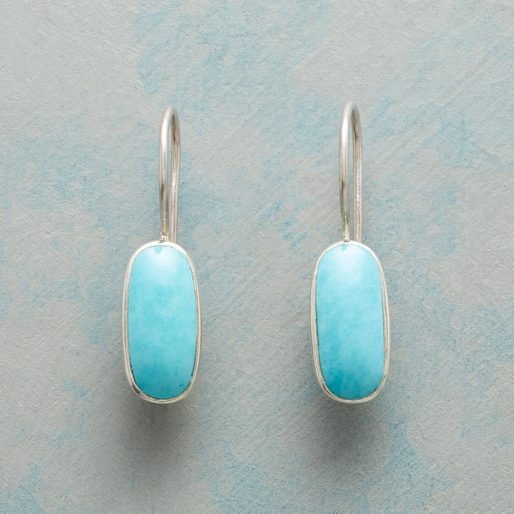 Exquisite Turquoise Swaying Earrings